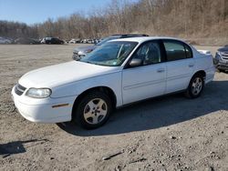 Salvage cars for sale at Marlboro, NY auction: 2004 Chevrolet Classic