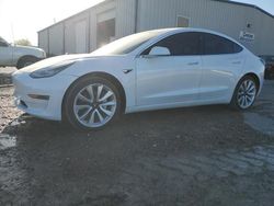 Salvage cars for sale at Mercedes, TX auction: 2019 Tesla Model 3