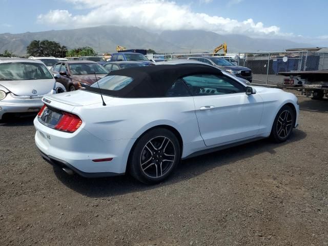 2023 Ford Mustang