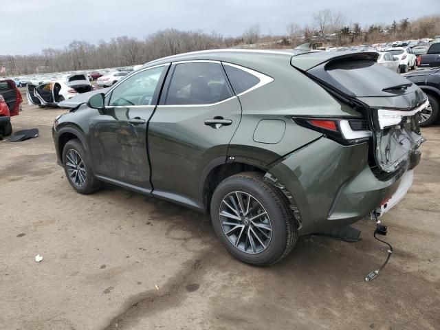 2025 Lexus NX 350H Base