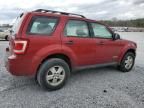 2008 Ford Escape XLS