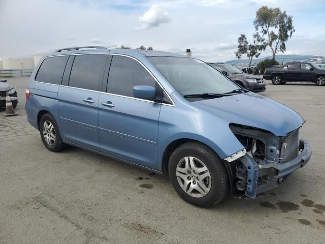 2005 Honda Odyssey EXL