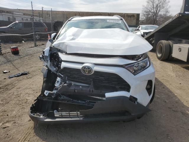 2019 Toyota Rav4 XLE