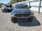 2004 Dodge Dakota Sport