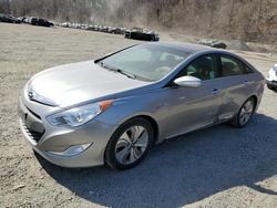 Salvage cars for sale at Marlboro, NY auction: 2014 Hyundai Sonata Hybrid