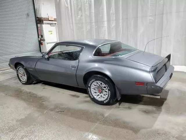 1981 Pontiac Firebird