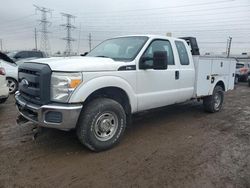 Salvage trucks for sale at Elgin, IL auction: 2013 Ford F350 Super Duty