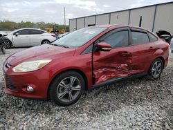 Carros salvage a la venta en subasta: 2014 Ford Focus SE