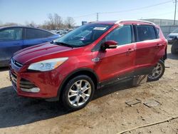 Salvage cars for sale at Chicago Heights, IL auction: 2014 Ford Escape Titanium