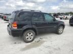 2007 Ford Escape HEV