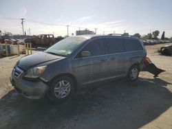 Salvage cars for sale at Los Angeles, CA auction: 2007 Honda Odyssey EXL