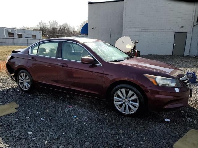 2011 Honda Accord EX