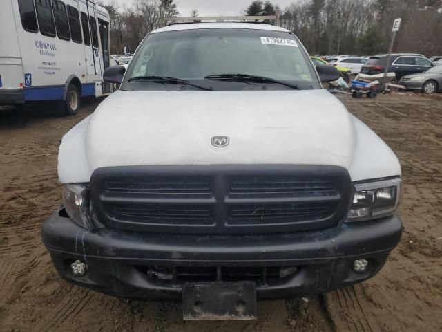 2004 Dodge Dakota SXT