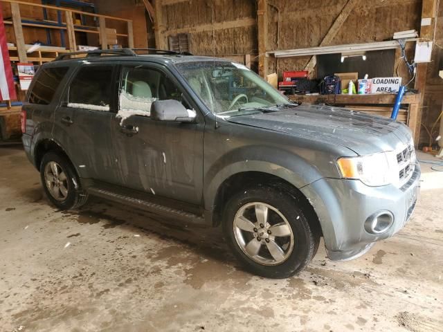 2010 Ford Escape XLT