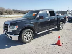 Salvage trucks for sale at Lebanon, TN auction: 2014 Ford F150 Supercrew