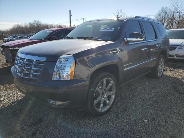 2010 Cadillac Escalade Premium