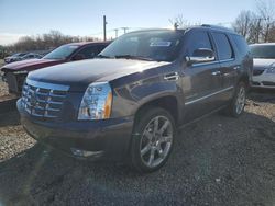 2010 Cadillac Escalade Premium en venta en Hillsborough, NJ