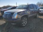 2010 Cadillac Escalade Premium