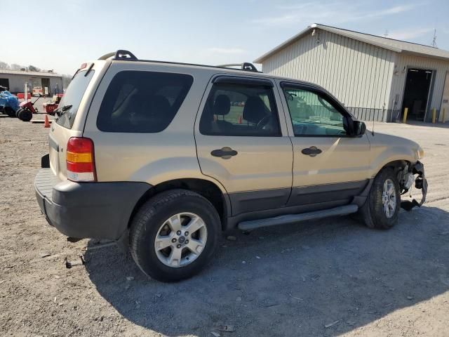 2007 Ford Escape XLT