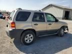 2007 Ford Escape XLT