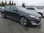 2013 KIA Optima Hybrid