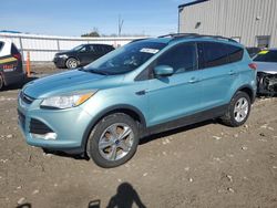 Salvage cars for sale at Appleton, WI auction: 2013 Ford Escape SE