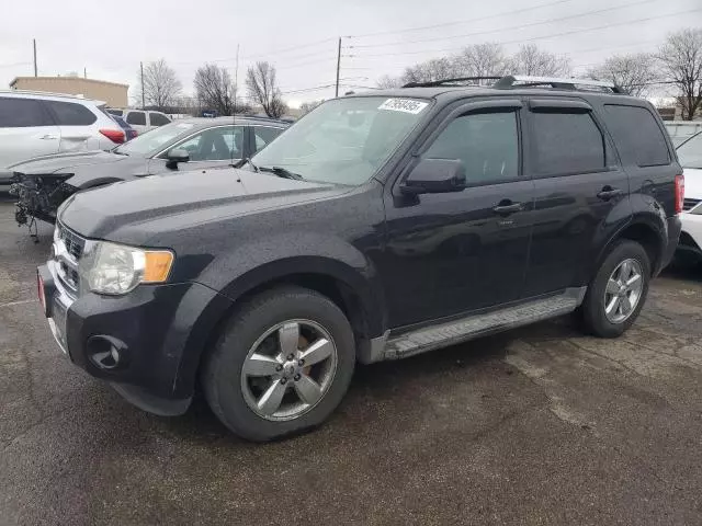 2011 Ford Escape Limited