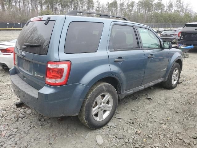 2011 Ford Escape Hybrid