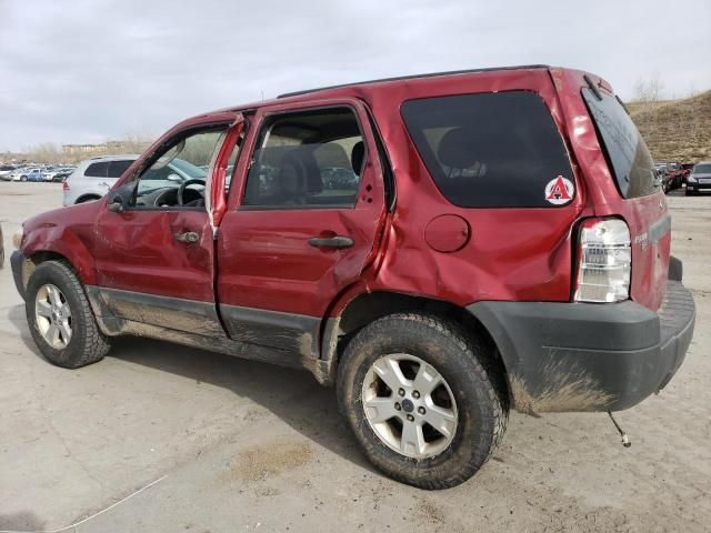 2005 Ford Escape XLT