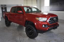 Salvage cars for sale at Magna, UT auction: 2019 Toyota Tacoma Double Cab