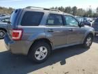 2009 Ford Escape XLT