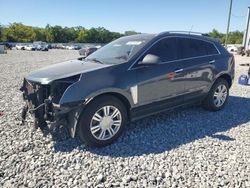 Salvage cars for sale at Apopka, FL auction: 2013 Cadillac SRX Luxury Collection