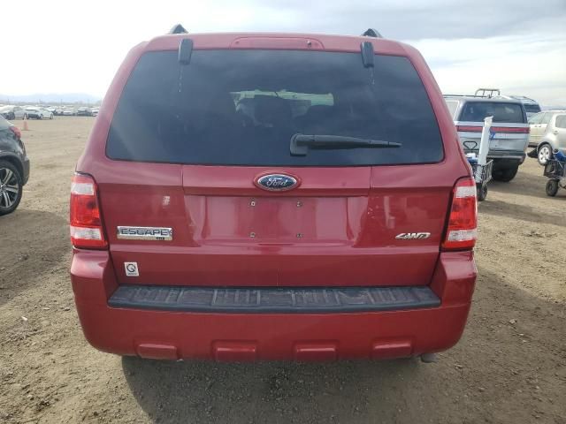 2009 Ford Escape XLT