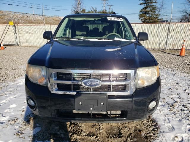 2008 Ford Escape XLT