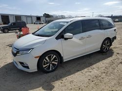 Honda salvage cars for sale: 2018 Honda Odyssey Elite