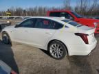 2024 Cadillac CT5 Luxury