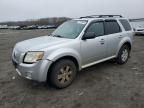 2011 Mercury Mariner