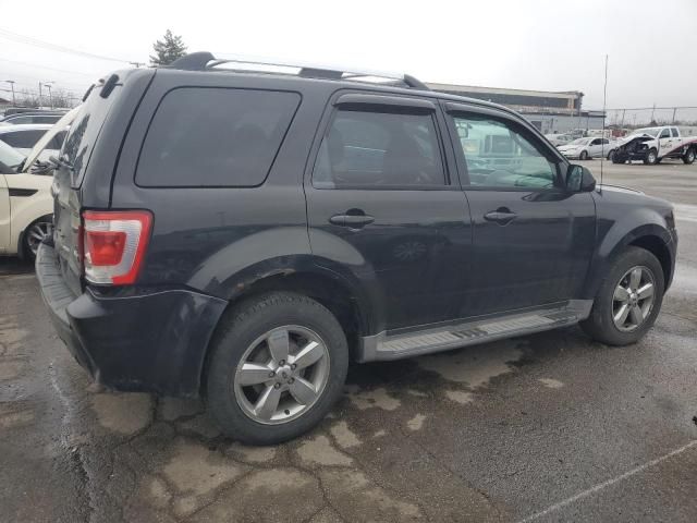 2011 Ford Escape Limited