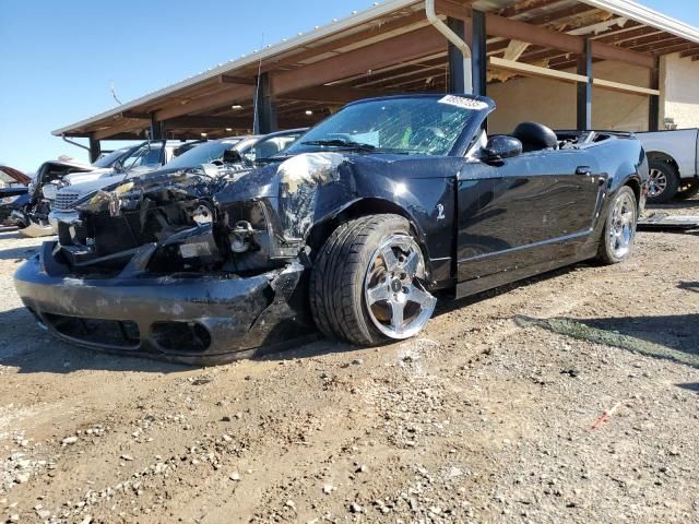 2004 Ford Mustang Cobra SVT