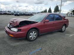 Salvage cars for sale at Rancho Cucamonga, CA auction: 1995 Honda Accord EX