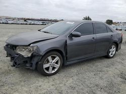 Toyota Camry l salvage cars for sale: 2013 Toyota Camry L