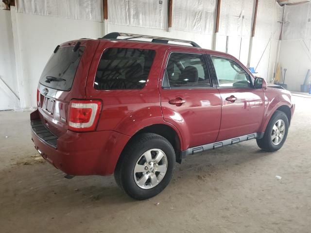 2011 Ford Escape Limited