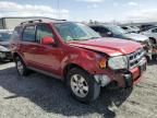 2008 Ford Escape Limited