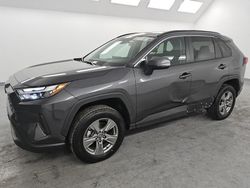 Salvage cars for sale at Van Nuys, CA auction: 2024 Toyota Rav4 XLE