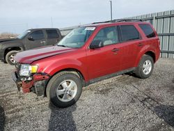 Salvage cars for sale at Ottawa, ON auction: 2012 Ford Escape XLT