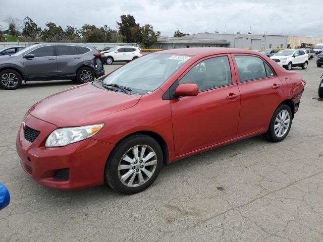 2010 Toyota Corolla Base