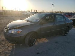 Salvage cars for sale at Indianapolis, IN auction: 2008 Toyota Corolla CE