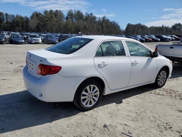 2010 Toyota Corolla Base