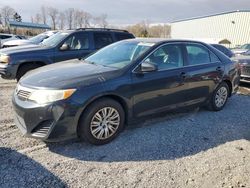 Salvage cars for sale at Spartanburg, SC auction: 2014 Toyota Camry L