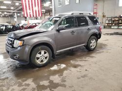 Salvage cars for sale at Blaine, MN auction: 2012 Ford Escape XLT